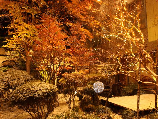 花びしホテル 庭園の風景「初雪」